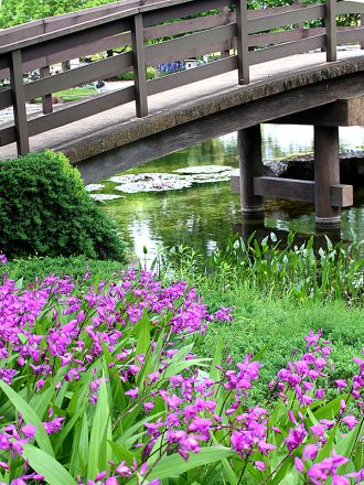 公園だより最新投稿写真