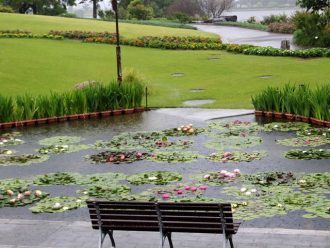 公園だより最新投稿写真
