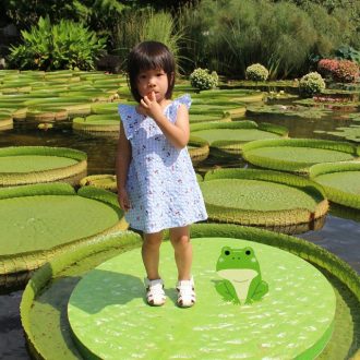 主催イベント：パラグアイオニバスに乗ってみよう！の画像
