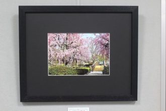 主催イベント：桜写真展のお知らせの画像