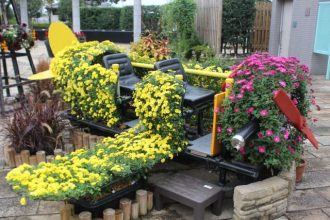 主催イベント：11月イベント情報の画像