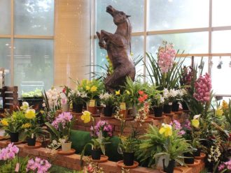 主催イベント：1月イベント情報の画像