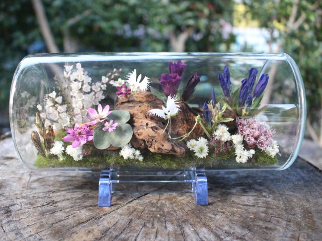 山野草アートボトル同好会作品展｜イベント情報｜草津市立 水生植物