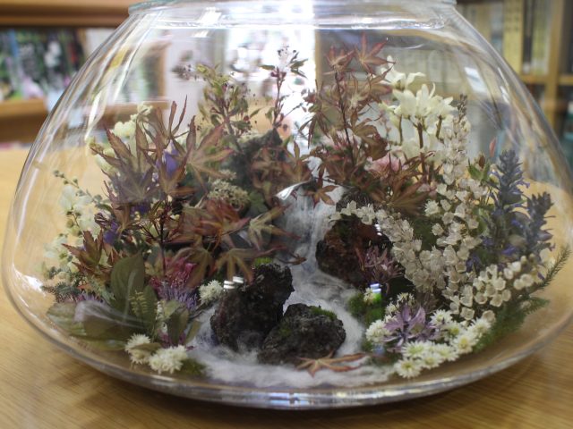 山野草アートボトル同好会作品展｜イベント情報｜草津市立 水生植物
