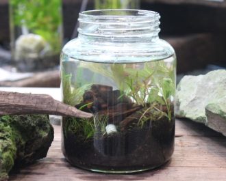 主催イベント：ボトルアクアリウムを作ろう！の画像