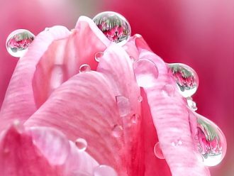 主催イベント：みずの森フォトコンテスト作品展の画像