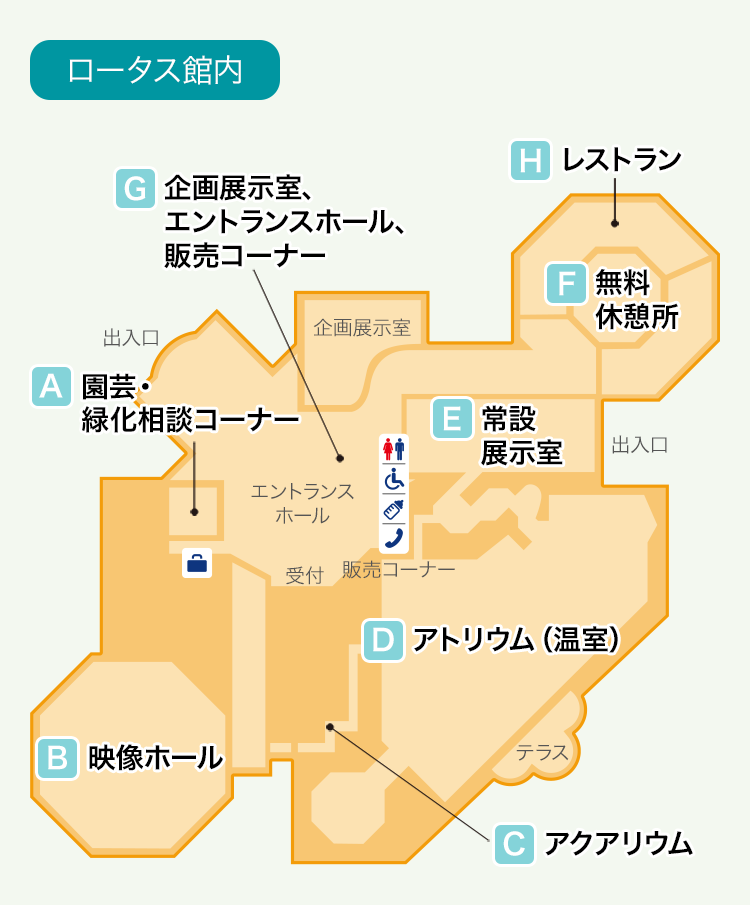 ロータス館の館内マップ