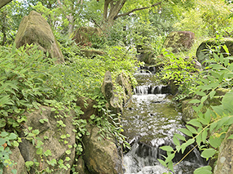 山の小道の写真