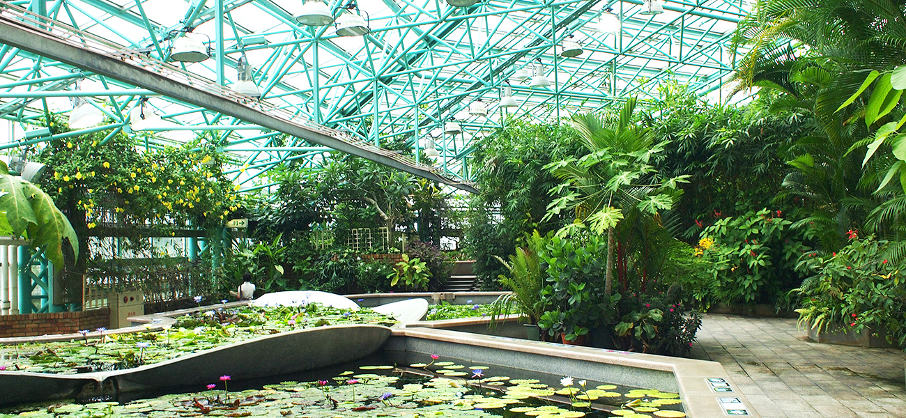 草津市立 水生植物公園みずの森