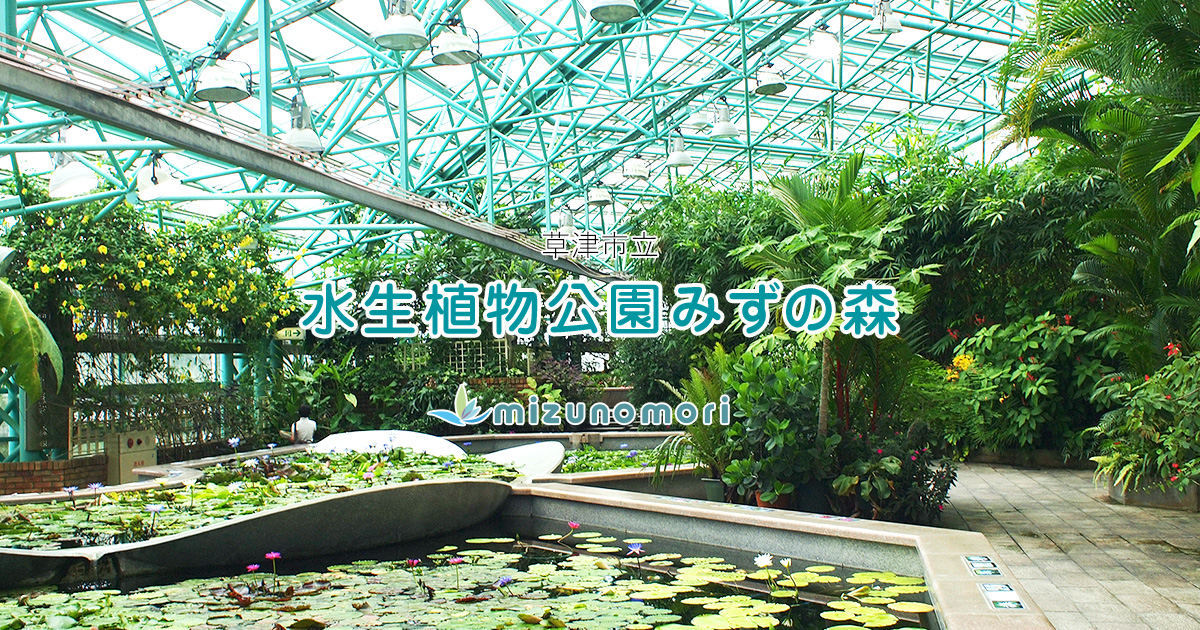 草津市立 水生植物公園みずの森