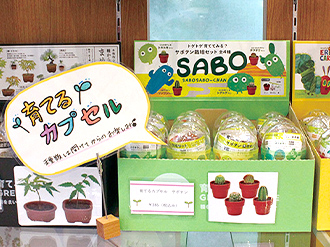 育てるカプセルの写真