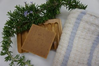 公園だより最新投稿写真