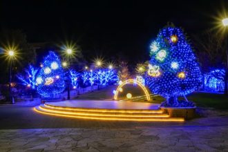 主催イベント:ROOFTOP ILLUMINATION ~ハチが光をもたらす~の画像