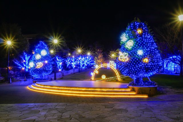 ROOFTOP ILLUMINATION ～ハチが光をもたらす～