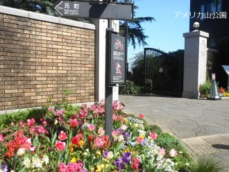 公園だより最新投稿写真