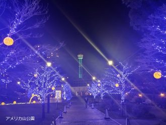 公園だより最新投稿写真