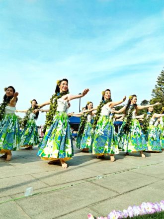 主催イベント：横浜ローズウィーク　フラダンスショーの画像