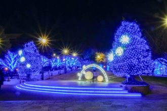 主催イベント：ROOFTOP ILLUMINATION ～ハチが光をもたらす～の画像