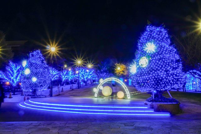 ROOFTOP ILLUMINATION ～ハチが光をもたらす～