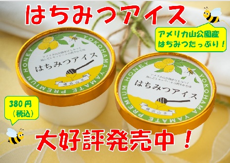 はちみつアイス好評発売中
