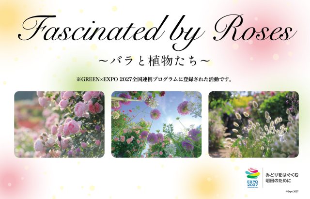 「fascinated by Roses～バラと植物たち～」写真展示のお知らせ