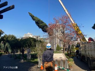 公園だより最新投稿写真