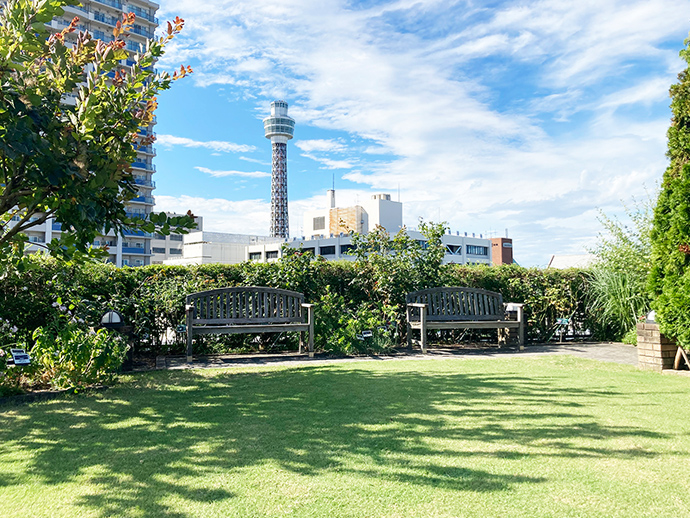 小庭園の写真