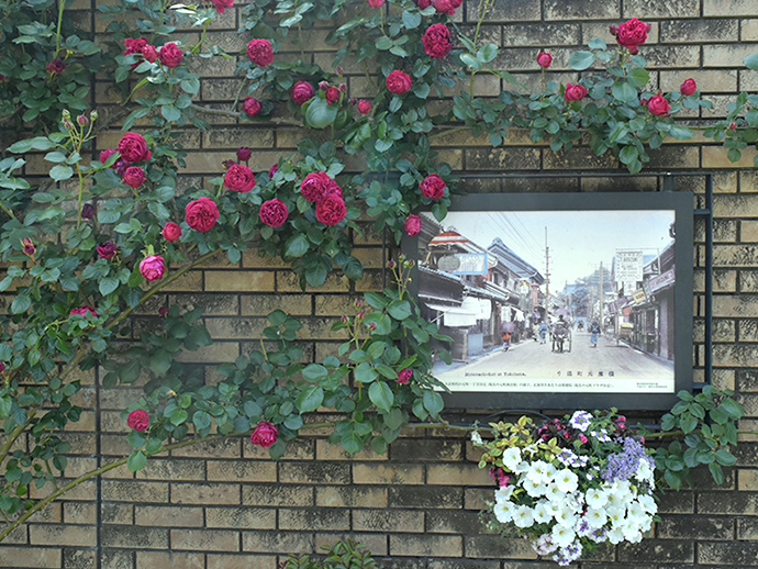 地域の歴史解説の写真