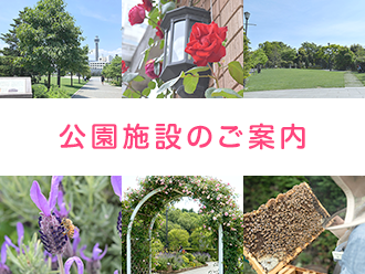 公園施設のご案内