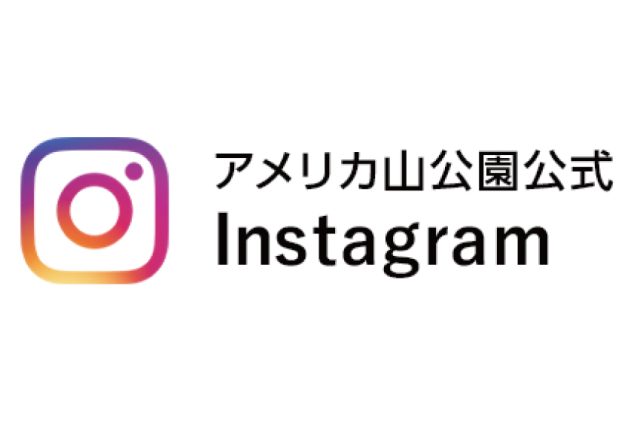 Instagramを始めました