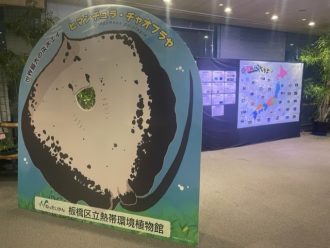 主催イベント：『日本全国推しエイＭＡＰパネル展』8月1日(金)～8月31日(日)開催！の画像