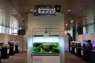 ねったいかんだより最新投稿写真