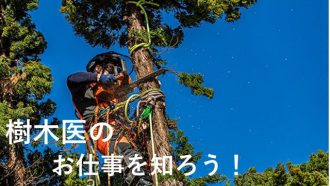 主催イベント：樹木医のお仕事を知ろうの画像