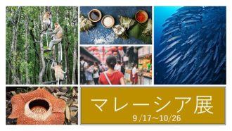 主催イベント：【2025年9月17日(水)より開始】マレーシア展の画像