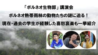 主催イベント：1月10日(土)開催『ボルネオ生物部』講演会の画像