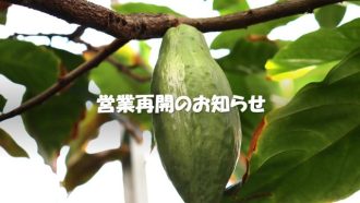主催イベント:3月1日(日)営業再開のお知らせの画像