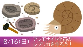 主催イベント：【募集終了】アンモナイト化石のレプリカを作ろう！の画像