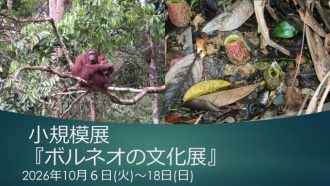 主催イベント:【10/6(火)~18(日)】小規模展『ボルネオの文化展』開催!の画像