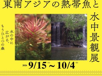 主催イベント:【9/15~10/4開催!】東南アジアの熱帯魚と水中景観展🐟の画像