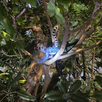 ねったいかんだより最新投稿写真