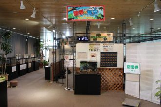 ねったいかんだより最新投稿写真