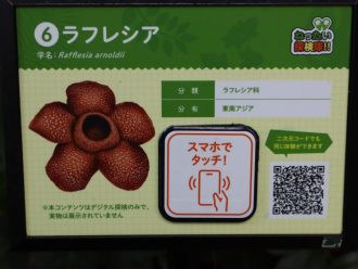 ねったいかんだより最新投稿写真