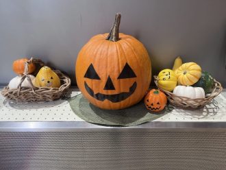 ねったいかんだより最新投稿写真