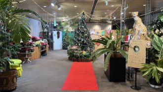 ねったいかんだより最新投稿写真