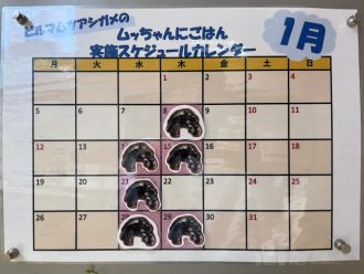主催イベント：平日限定！ムッちゃんにごはん　1月の画像