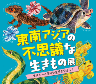主催イベント:【10/20~11/8開催!】東南アジアの不思議な生きもの展の画像