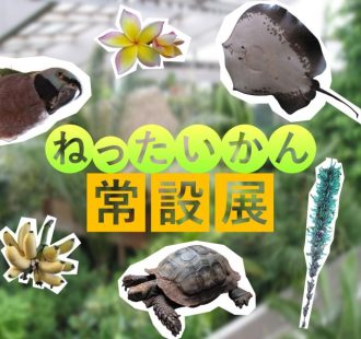 ねったいかんだより最新投稿写真