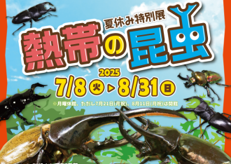 主催イベント：【7/8(火)より】夏休み特別展「熱帯の昆虫2025」の画像