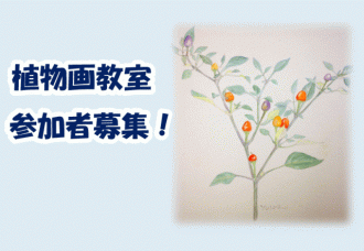 主催イベント：植物画教室の画像