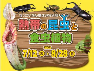 主催イベント：夏休み特別展～熱帯の昆虫と食虫植物～の画像